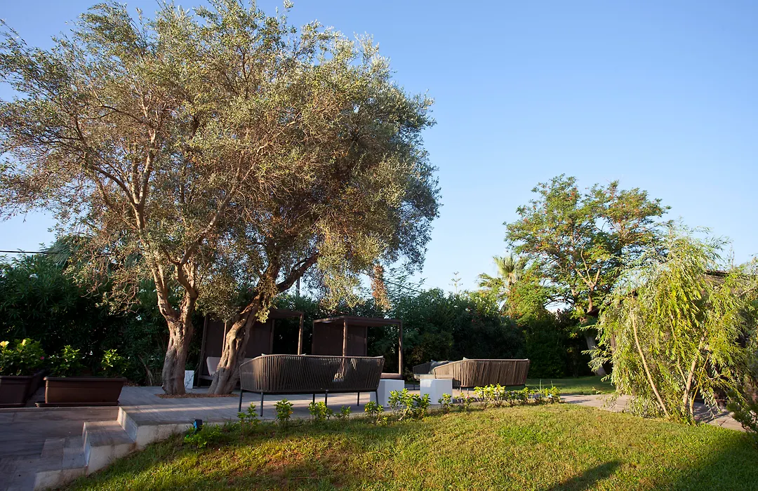 Hotel Eu Bahia Pollença-1